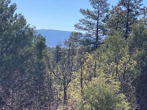 7.4 Acres of Land for Sale in Rutheron, New Mexico