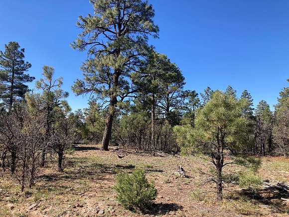 6.2 Acres of Land for Sale in Rutheron, New Mexico