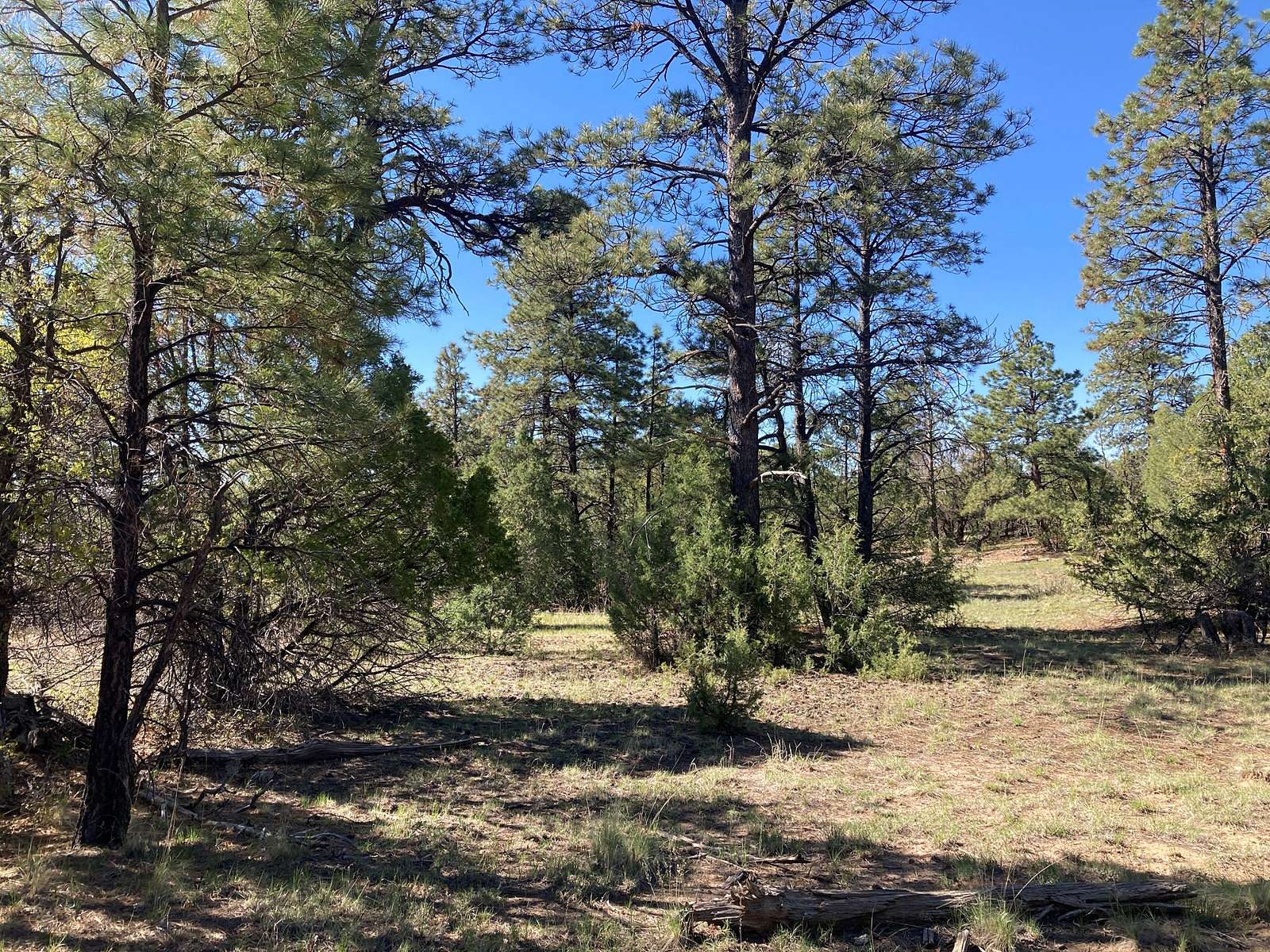 6.78 Acres of Land for Sale in Rutheron, New Mexico