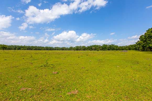 20 Acres of Recreational Land & Farm for Sale in Live Oak, Florida