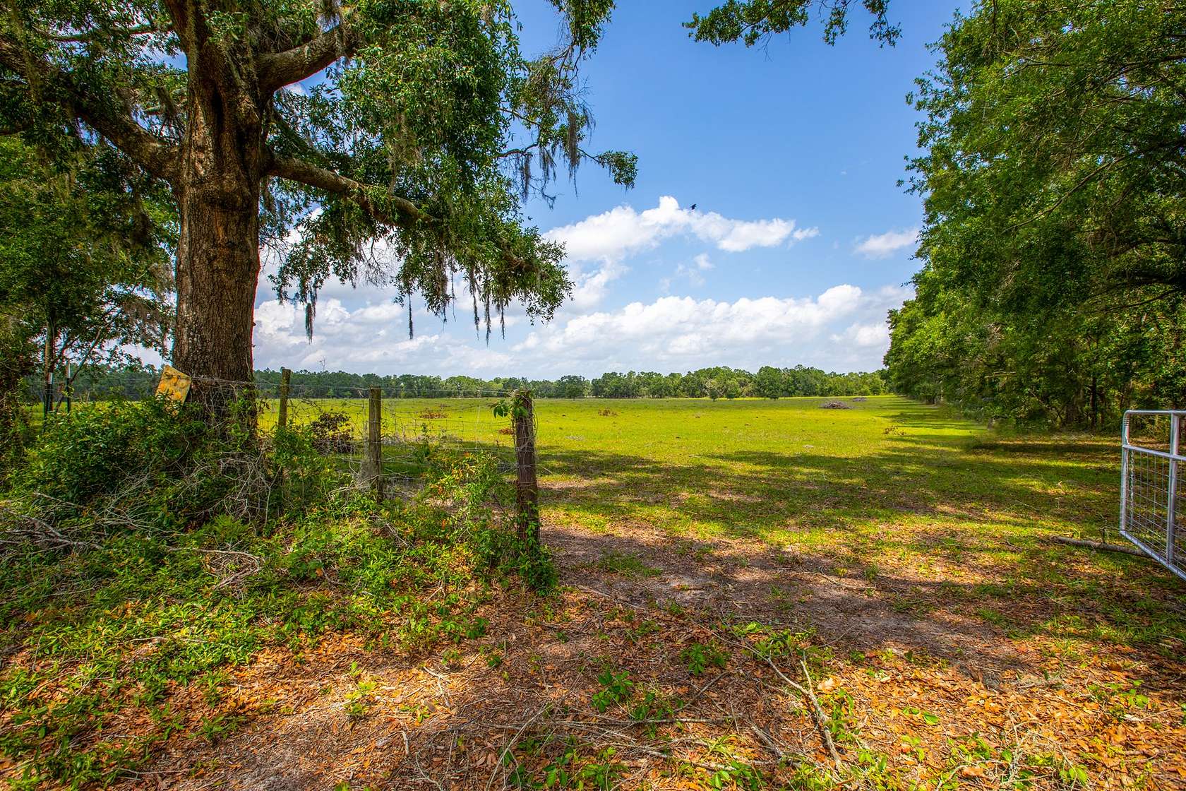 40 Acres of Recreational Land & Farm for Sale in Live Oak, Florida
