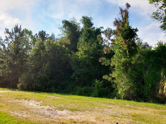 Residential Land for Sale in Georgetown, Florida