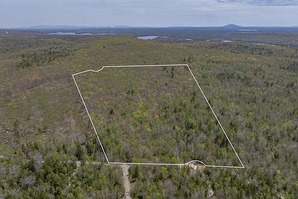 17.7 Acres of Land for Sale in Orland, Maine