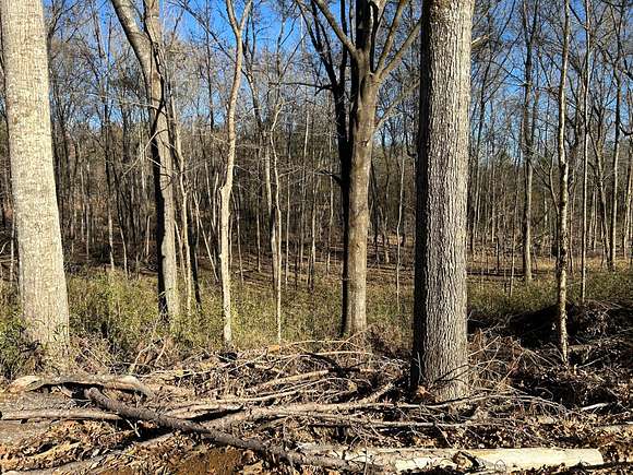 110 Acres of Recreational Land for Sale in Hermanville, Mississippi