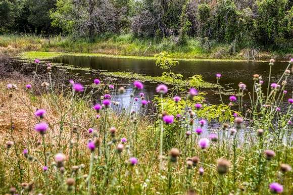 62 Acres of Land with Home for Sale in Lipan, Texas