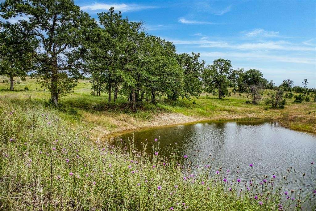 28 Acres of Land for Sale in Lipan, Texas