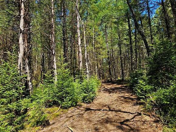 2 Acres of Land for Sale in Summit Lake, Wisconsin