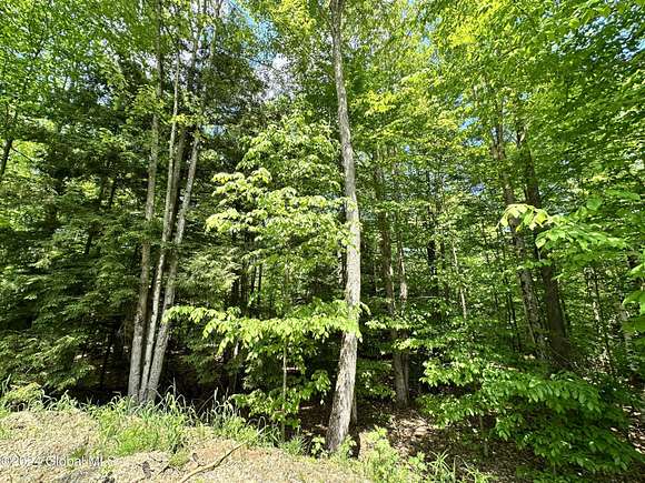 17.8 Acres of Land for Sale in Hadley, New York