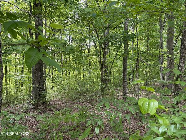 4 Acres of Residential Land for Sale in Monterey, Tennessee