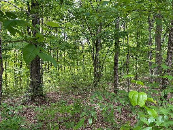4 Acres of Land for Sale in Monterey, Tennessee