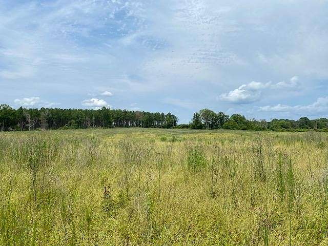 30 Acres of Agricultural Land for Sale in Bassfield, Mississippi