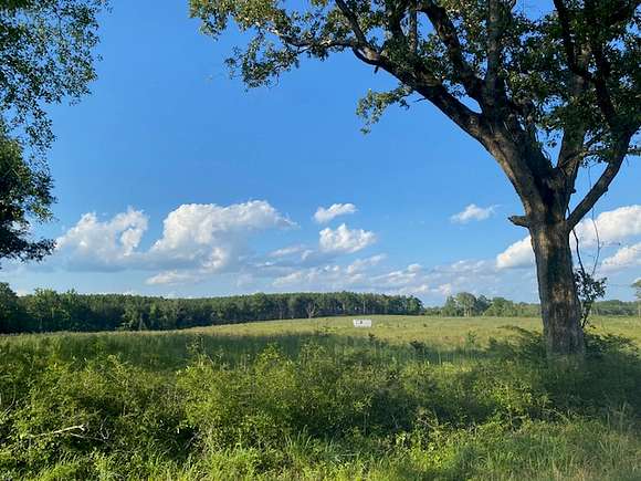 30 Acres of Recreational Land & Farm for Sale in Bassfield, Mississippi