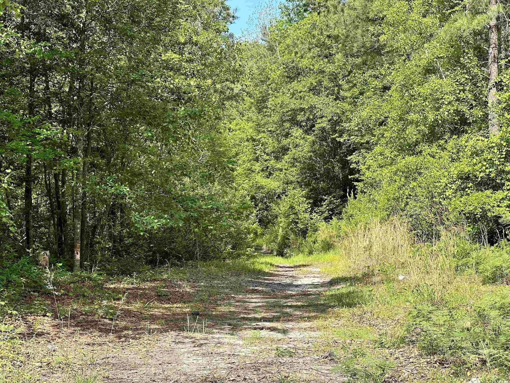 9.6 Acres of Residential Land for Sale in Loris, South Carolina