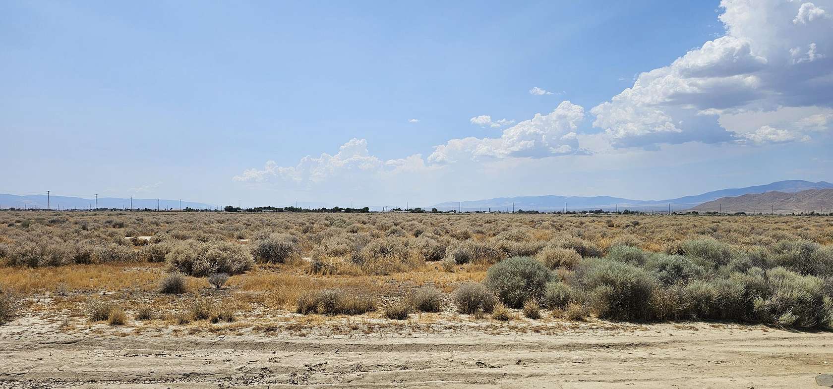 Land for Sale in Rosamond, California