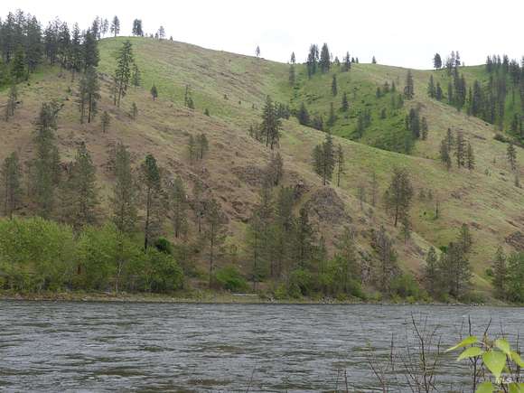 65.7 Acres of Land for Sale in Kamiah, Idaho