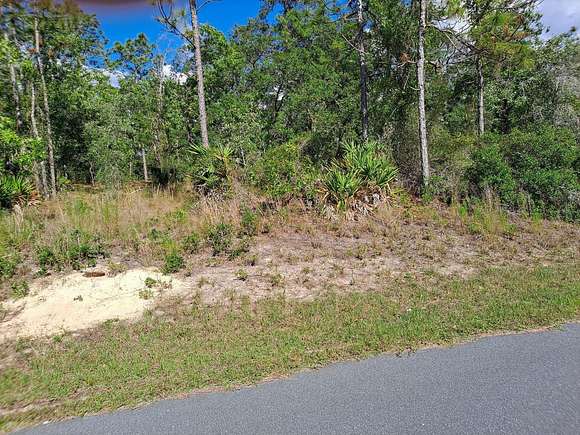 1.5 Acres of Residential Land for Sale in Weeki Wachee, Florida