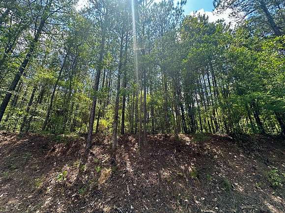 3.4 Acres of Residential Land for Sale in Gloster, Mississippi
