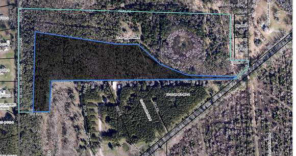 20 Acres of Agricultural Land for Sale in Tallahassee, Florida