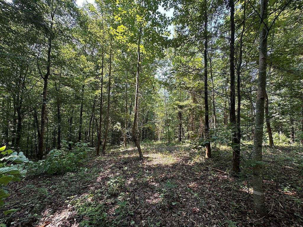 12.55 Acres of Land for Sale in Byrdstown, Tennessee