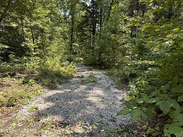 12.6 Acres of Land for Sale in Byrdstown, Tennessee