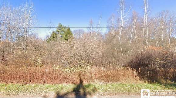 8.9 Acres of Commercial Land for Sale in Busti, New York