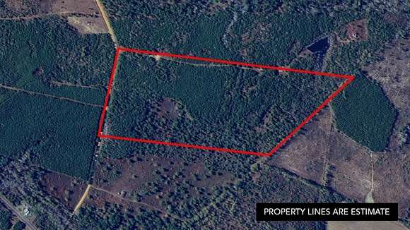 47.6 Acres of Recreational Land for Sale in Bartow, Georgia