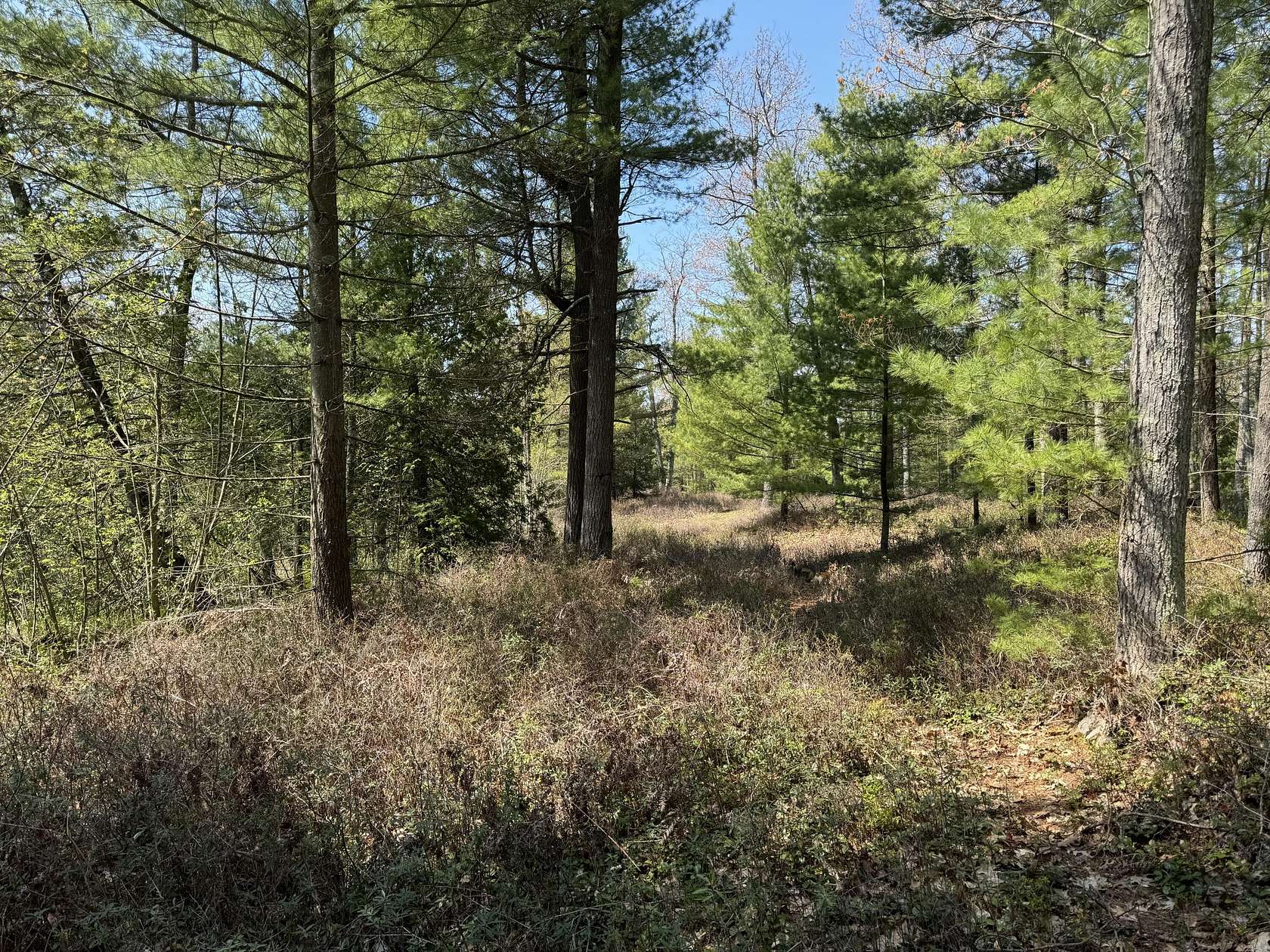 22.05 Acres of Recreational Land for Sale in Oscoda, Michigan