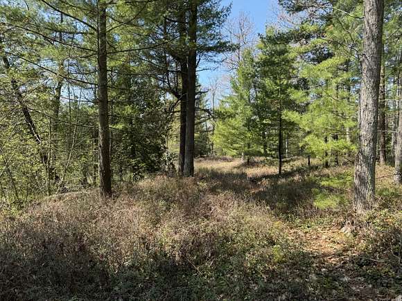 22.05 Acres of Recreational Land for Sale in Oscoda, Michigan