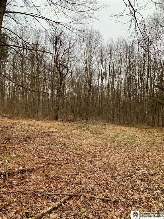 4.86 Acres of Residential Land for Sale in Leon, New York