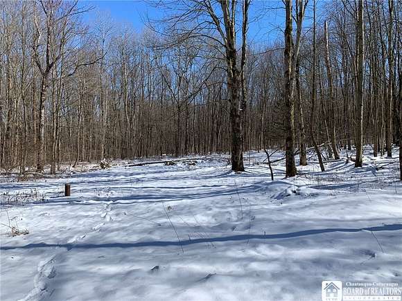4.9 Acres of Residential Land for Sale in Leon, New York