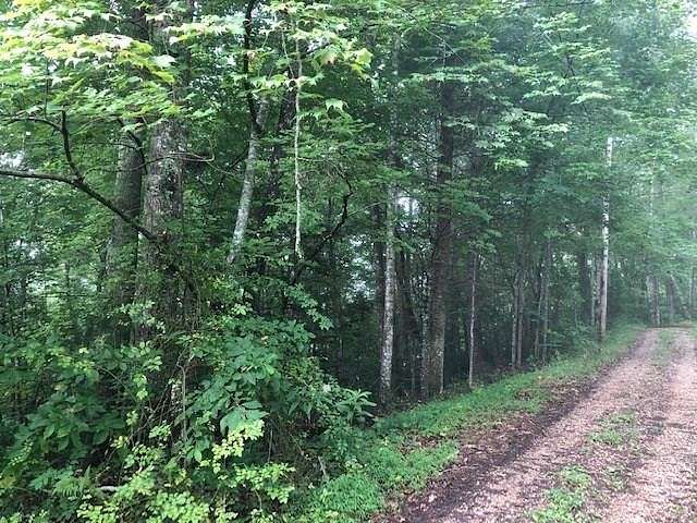 Land for Sale in Robbinsville, North Carolina