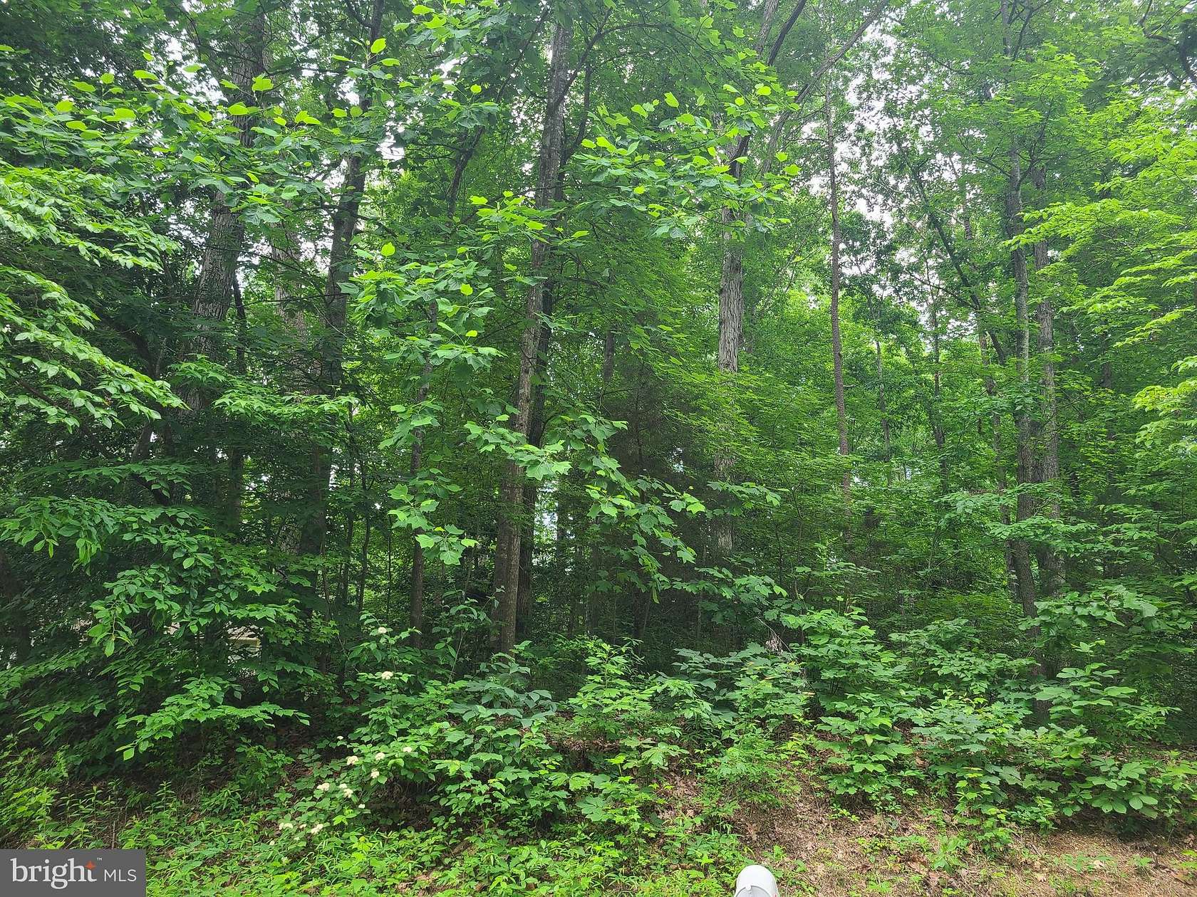 0.36 Acres of Residential Land for Sale in Ruther Glen, Virginia
