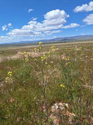 Recreational Land for Sale in Lovelock, Nevada