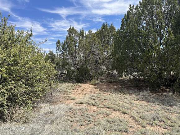 0.54 Acres of Residential Land for Sale in Concho, Arizona