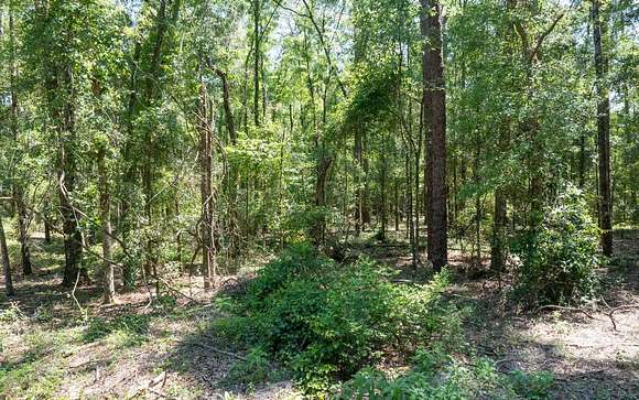 1.26 Acres of Residential Land for Sale in Live Oak, Florida