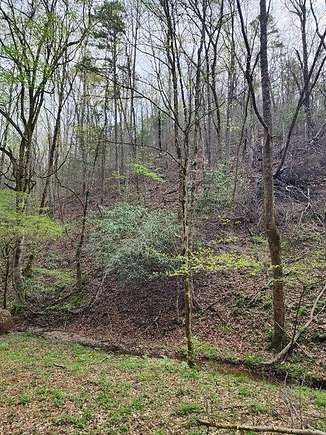 15.8 Acres of Land for Sale in Sevierville, Tennessee