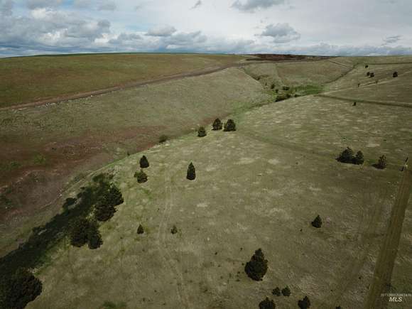 16.5 Acres of Land for Sale in Pomeroy, Washington