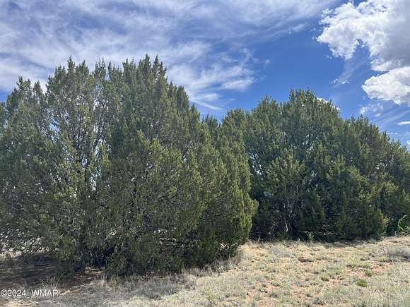 0.46 Acres of Residential Land for Sale in Concho, Arizona