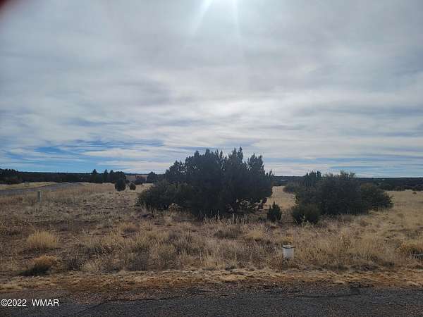 0.48 Acres of Residential Land for Sale in Show Low, Arizona