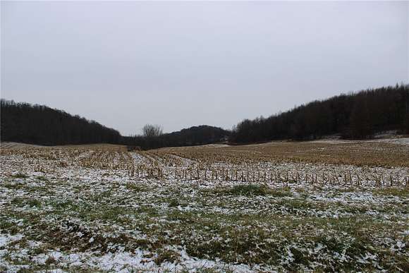 Agricultural Land for Auction in Mentz Town, New York