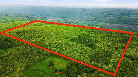 32.4 Acres of Recreational Land for Sale in Bristol, New York