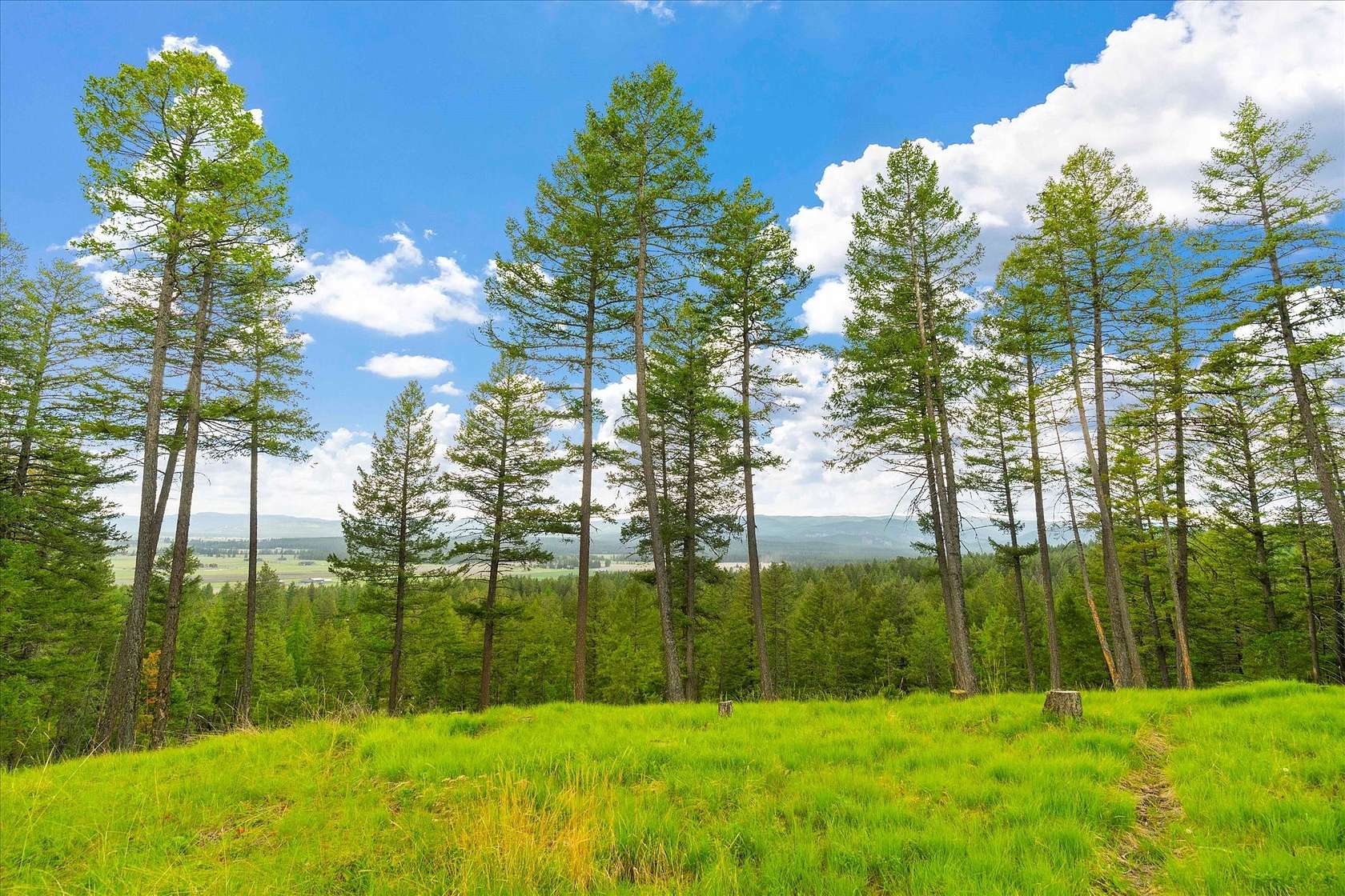 10 Acres of Land for Sale in Whitefish, Montana