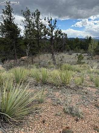 2 Acres of Land for Sale in Florissant, Colorado