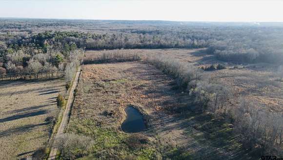 59.7 Acres of Land for Sale in Winnsboro, Texas