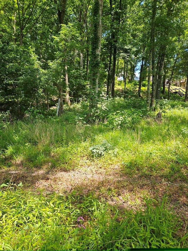 0.72 Acres of Residential Land for Sale in Georgetown, Georgia - LandSearch