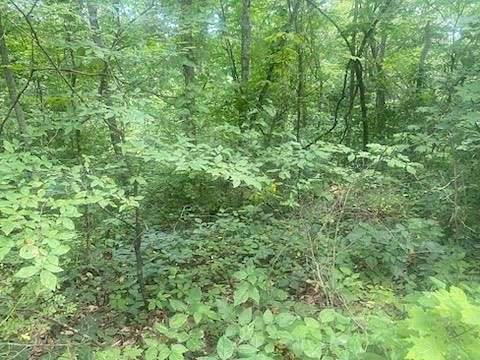 3.3 Acres of Residential Land for Sale in Celina, Tennessee