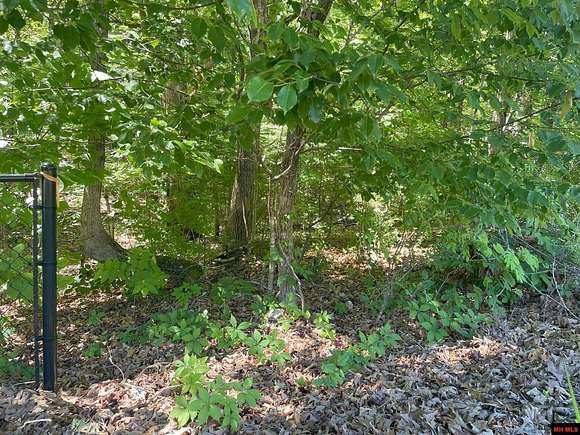 0.89 Acres of Land for Sale in Lakeview, Arkansas