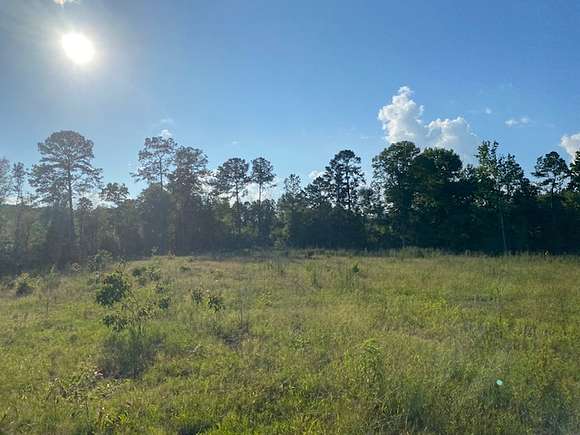 16 Acres of Recreational Land & Farm for Sale in Bassfield, Mississippi