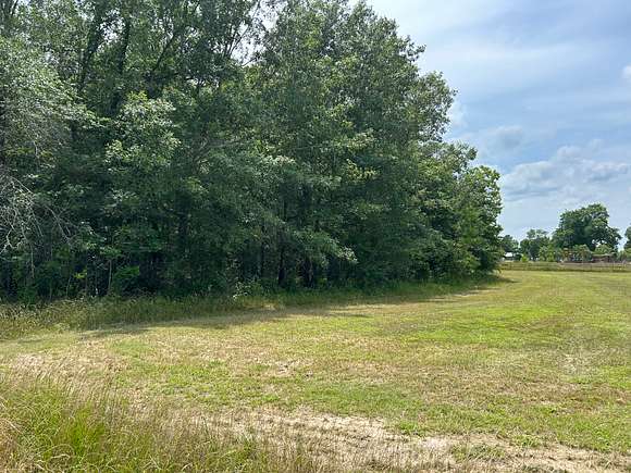 16.5 Acres of Recreational Land & Farm for Sale in Liddieville, Louisiana