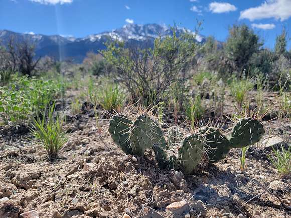 Residential Land for Sale in West Wendover, Nevada